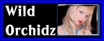 wild orchidz video sex chat girls