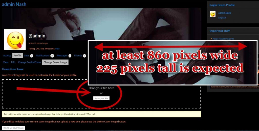 cover-image-large-min-dimensions-sc